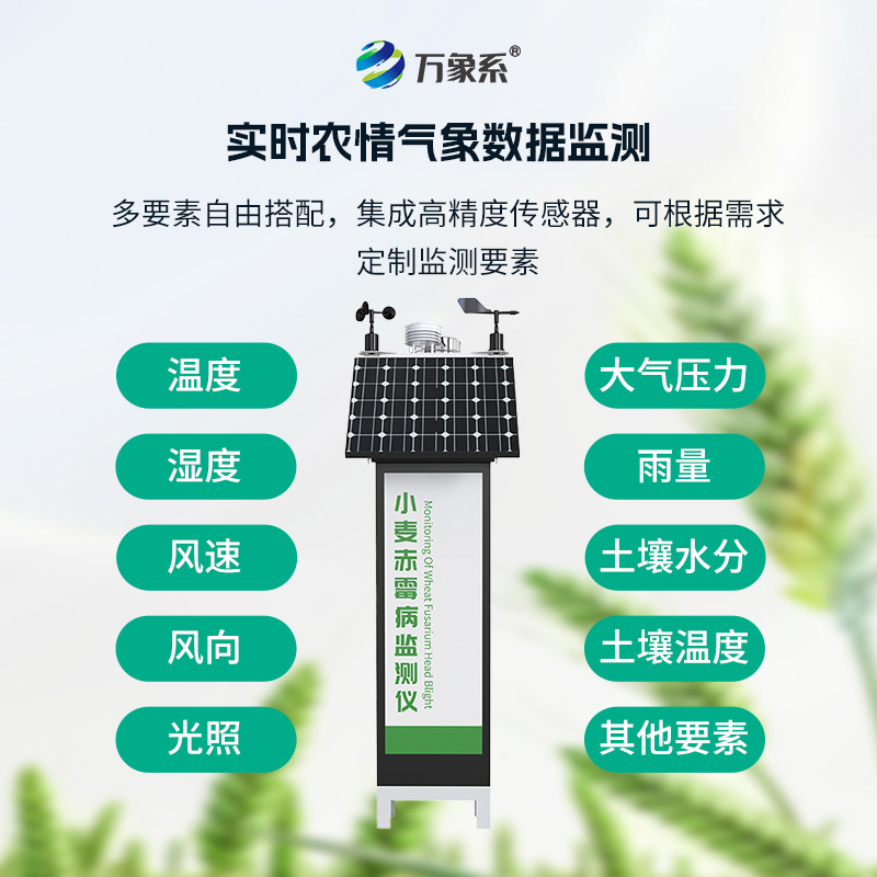 小麥赤霉病監(jiān)測儀在麥田中的作用