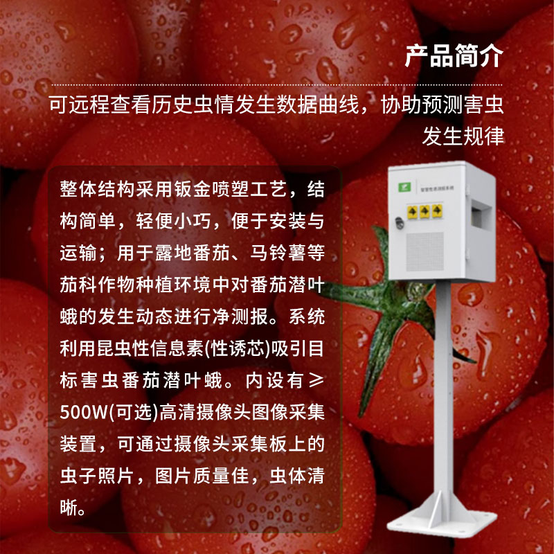 番茄潛葉蛾智慧性誘測報系統(tǒng)：高效誘蟲、殺蟲