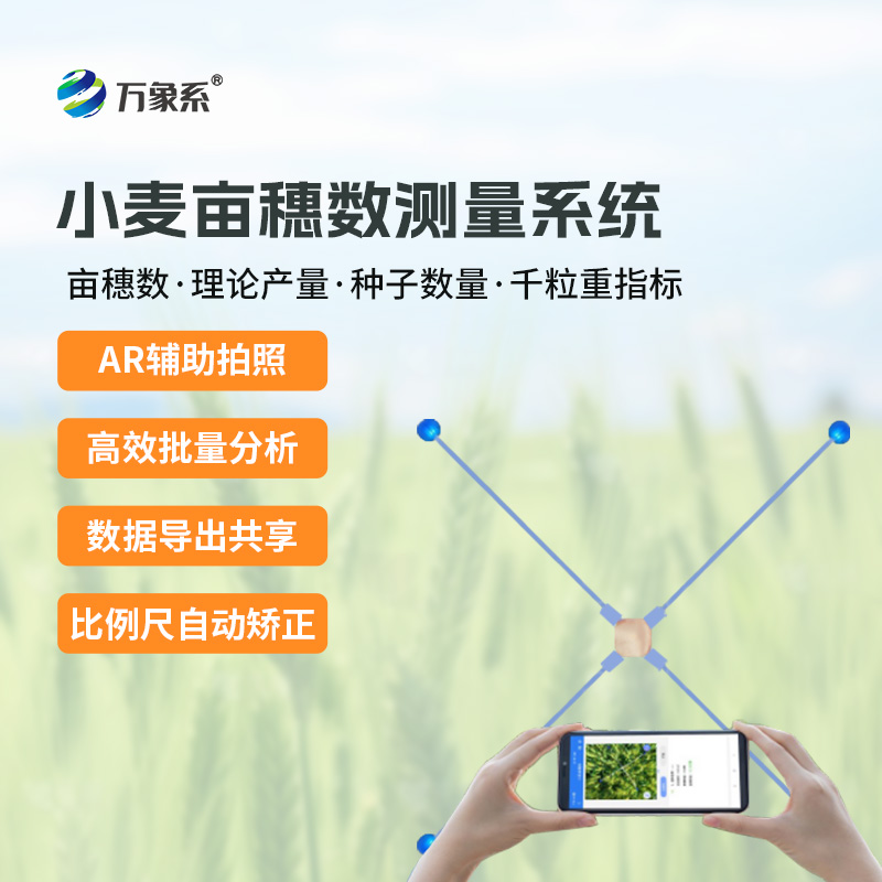 小麥畝穗數(shù)測量系統(tǒng):麥田里的