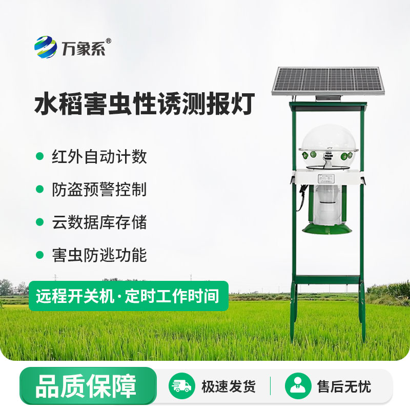 水稻害蟲性誘測報燈:綠色誘捕+精準(zhǔn)測報，守護水稻豐產(chǎn)無憂